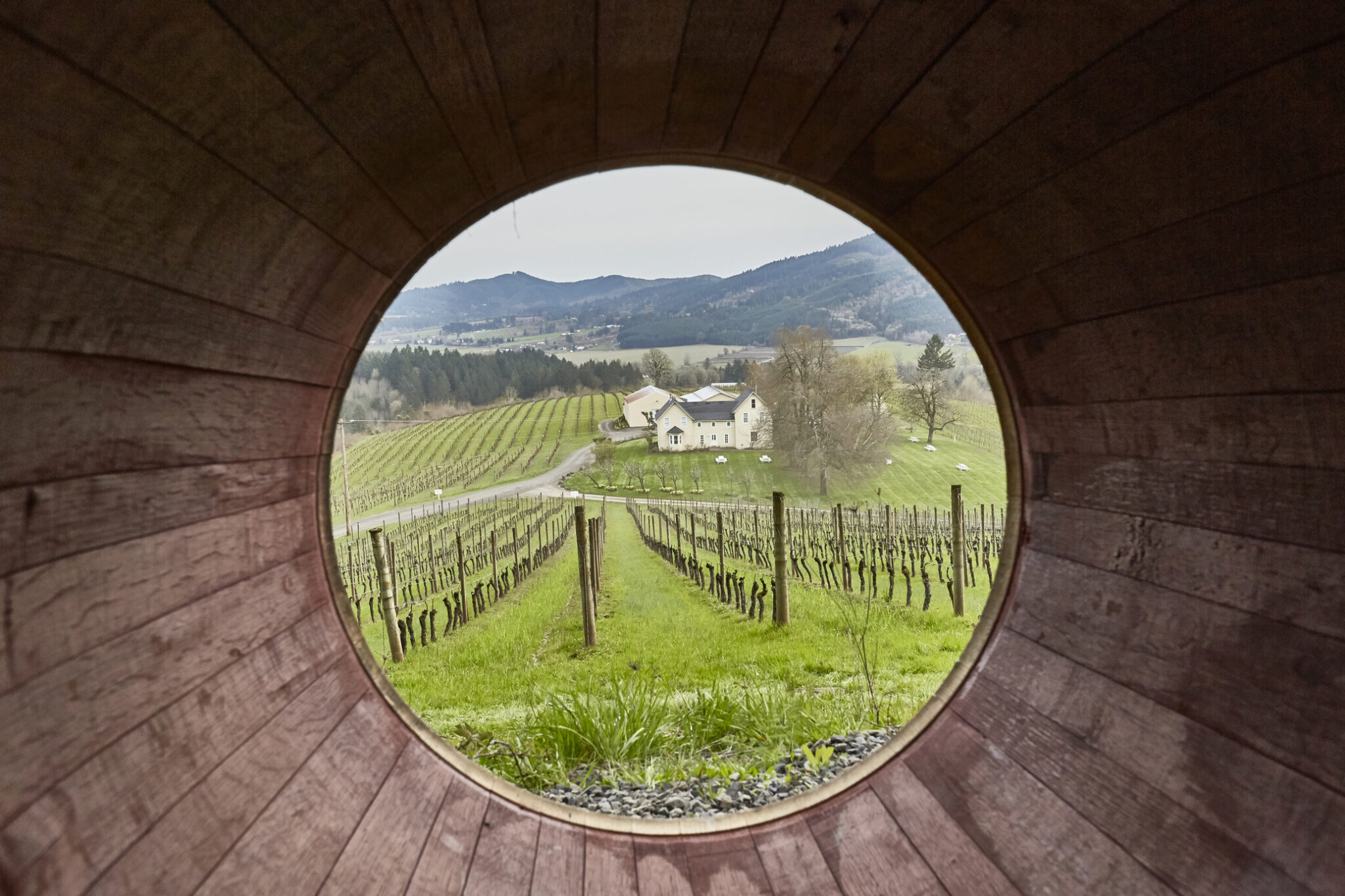 Cellar Season | Oregon Wine Board